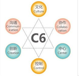 金和C6六脈神劍 助力企業(yè)跨越管理黑洞，實(shí)現(xiàn)高效運(yùn)營(yíng)